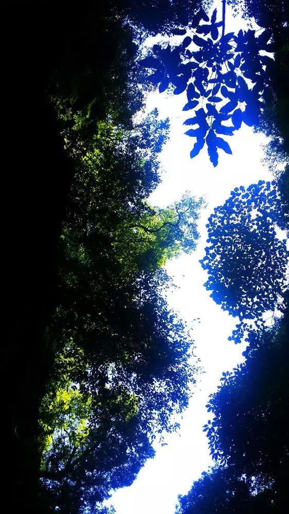 飞跃沙丘的小球